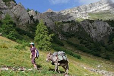 Asinerie Le Sentiers des Ânes - Asinerie Chabottes Hautes Alpes 05260
